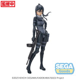 Sword Art Online -Lumin- Pitohui