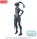 Sword Art Online -Lumin- Pitohui