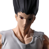 Hunter X Hunter -FL- Gon
