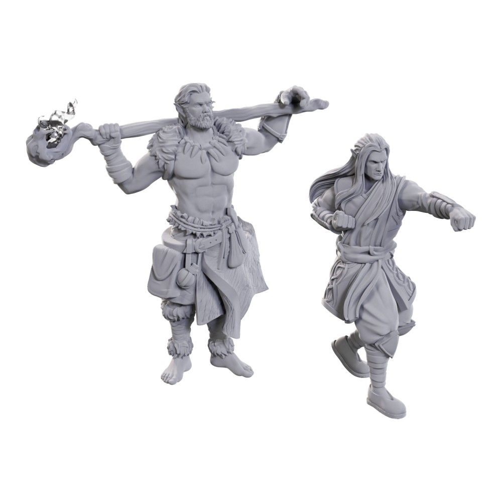D&D Figure: Archdruid & Martial Arts Ade