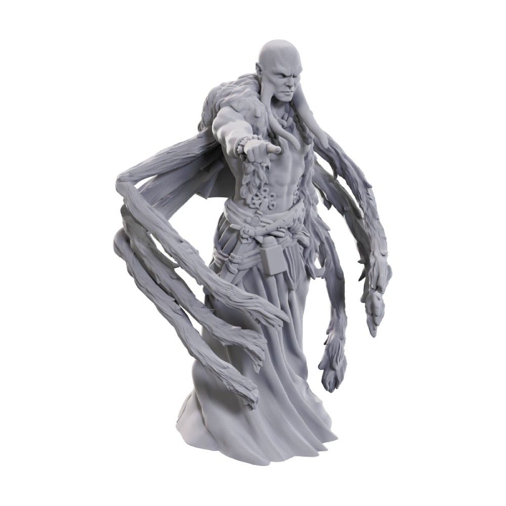 D&D Figure: Kraken Priest