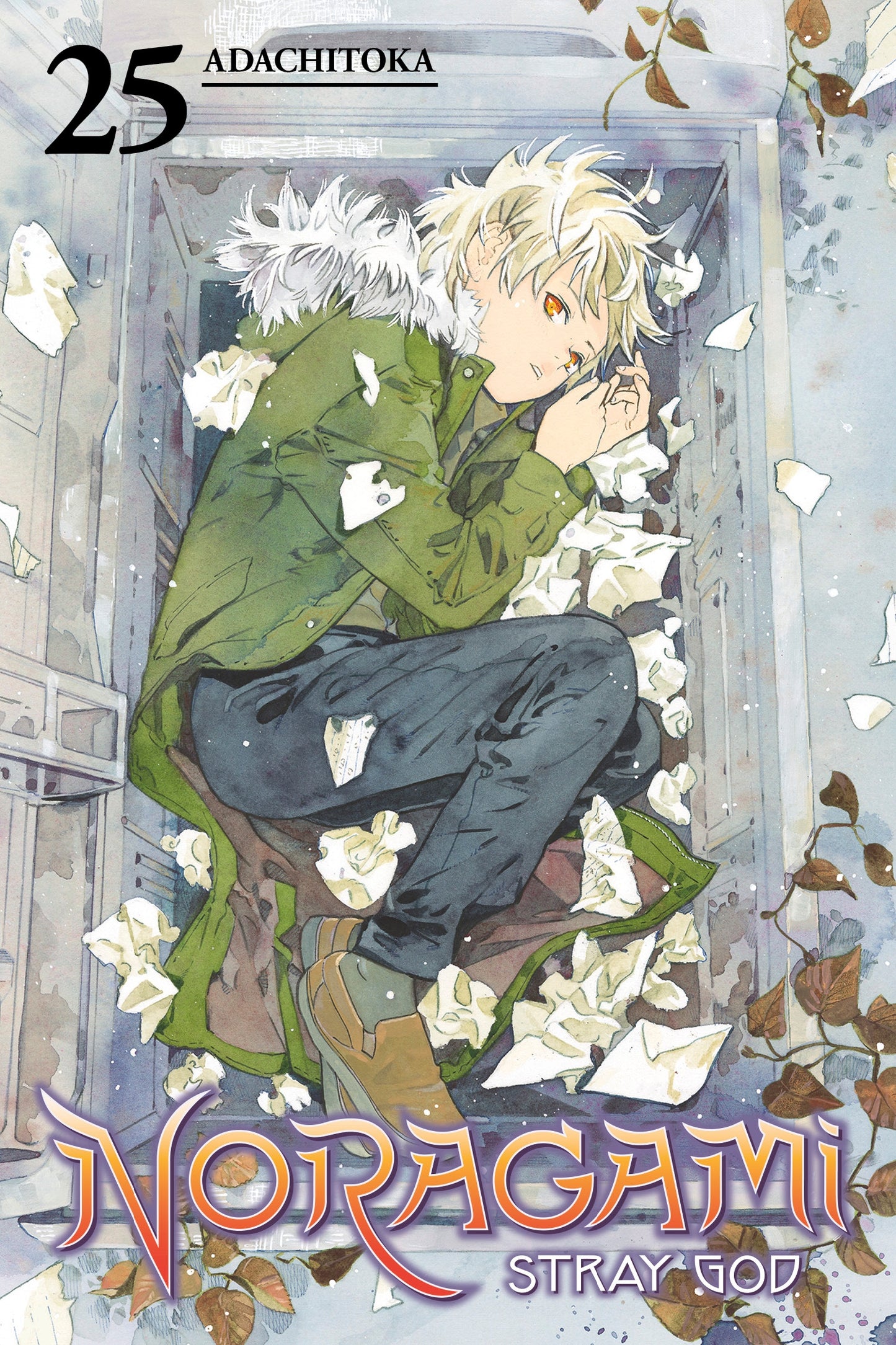 Noragami Stray God, Vol 25