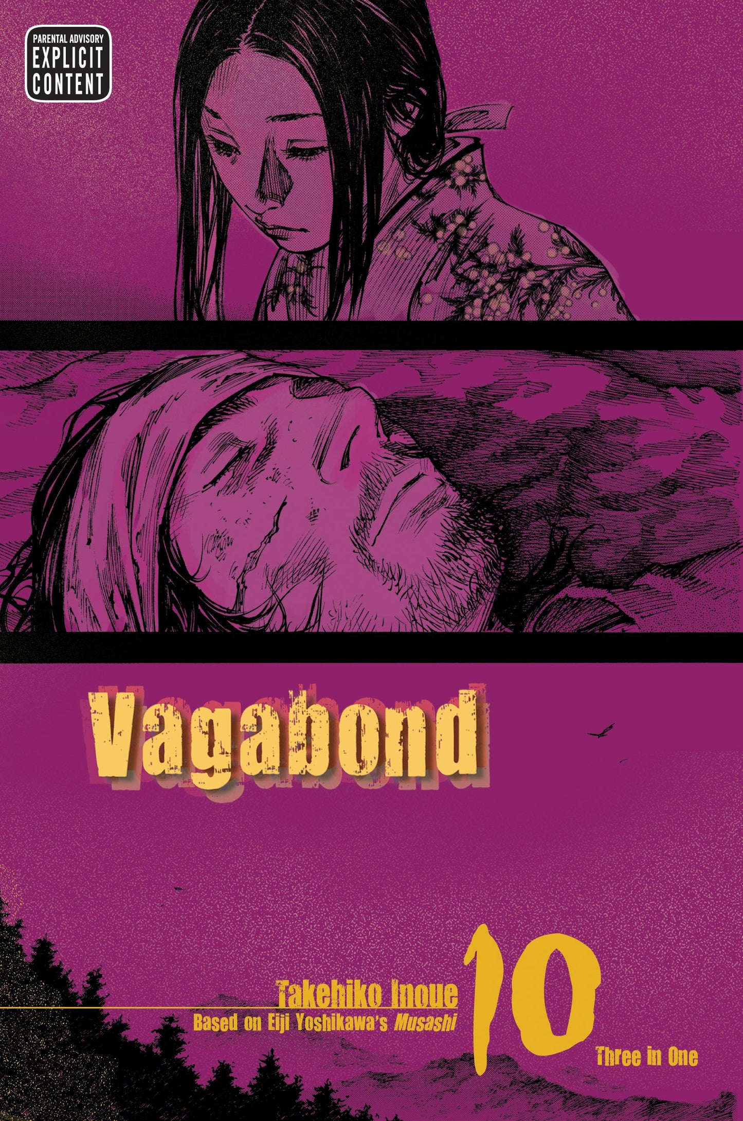 Vagabond VIZBIG Ed, Vol 10