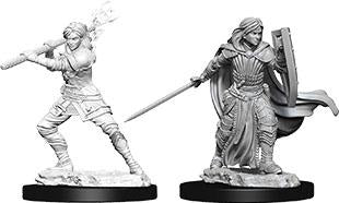 D&D Figure: Female Human Paladin