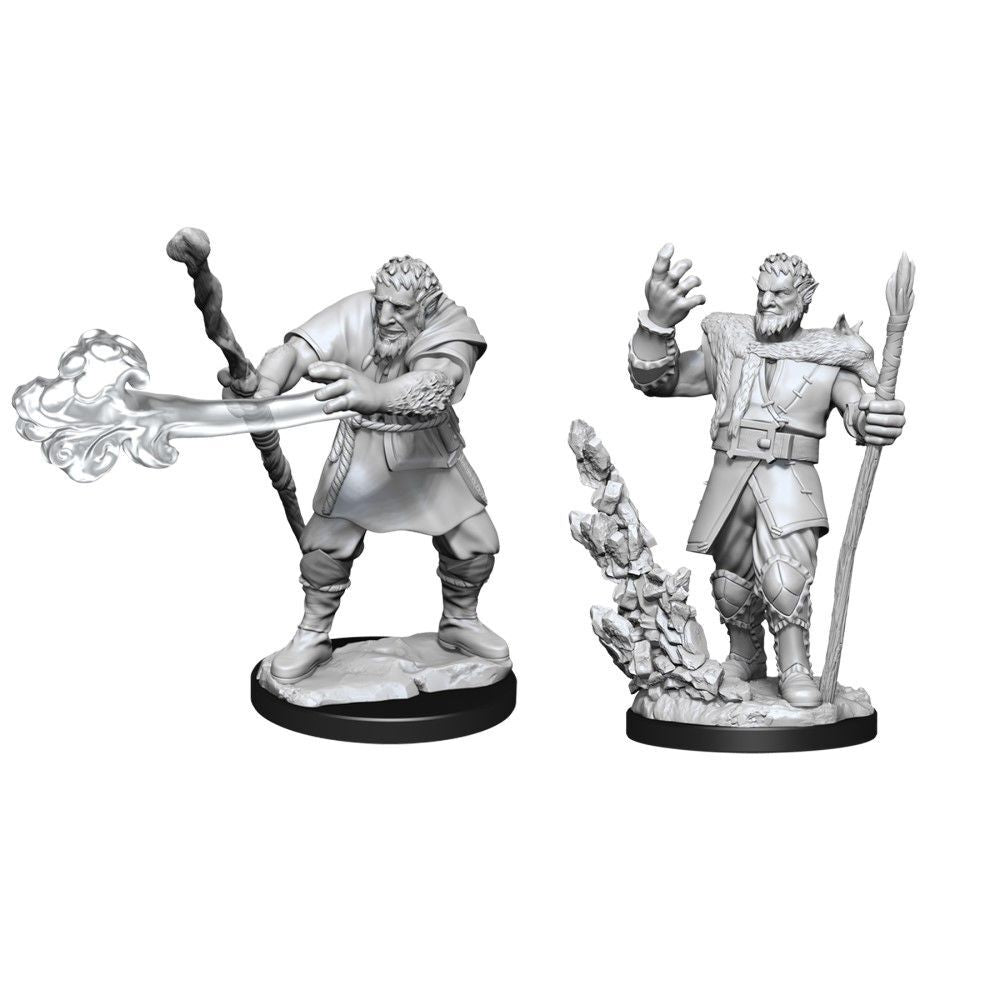 D&D Figure: Male Firbolg Druid