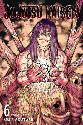 Jujutsu Kaisen, Vol 06