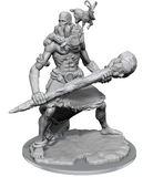 D&D Frameworks: Stone Giant