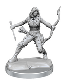 D&D Frameworks: Human Rogue Female