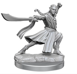D&D Frameworks: Elf Monk Male