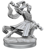 D&D Frameworks: Elf Monk Male