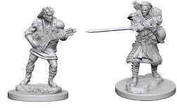 D&D Figure: Human Male Bard