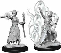 D&D Figure: Female Human Warlock