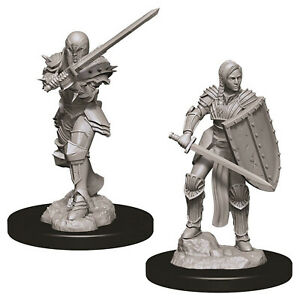 D&D Figure: Female Human Fighter