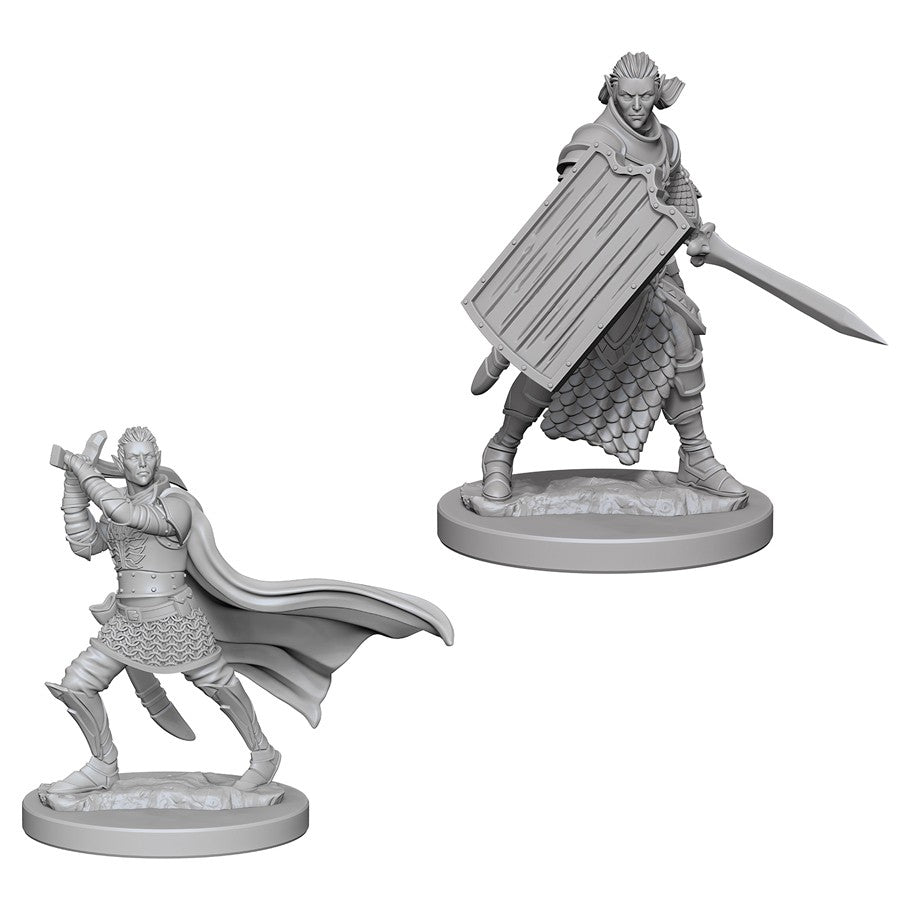Pathfinder Figure: Elf Male Paladin