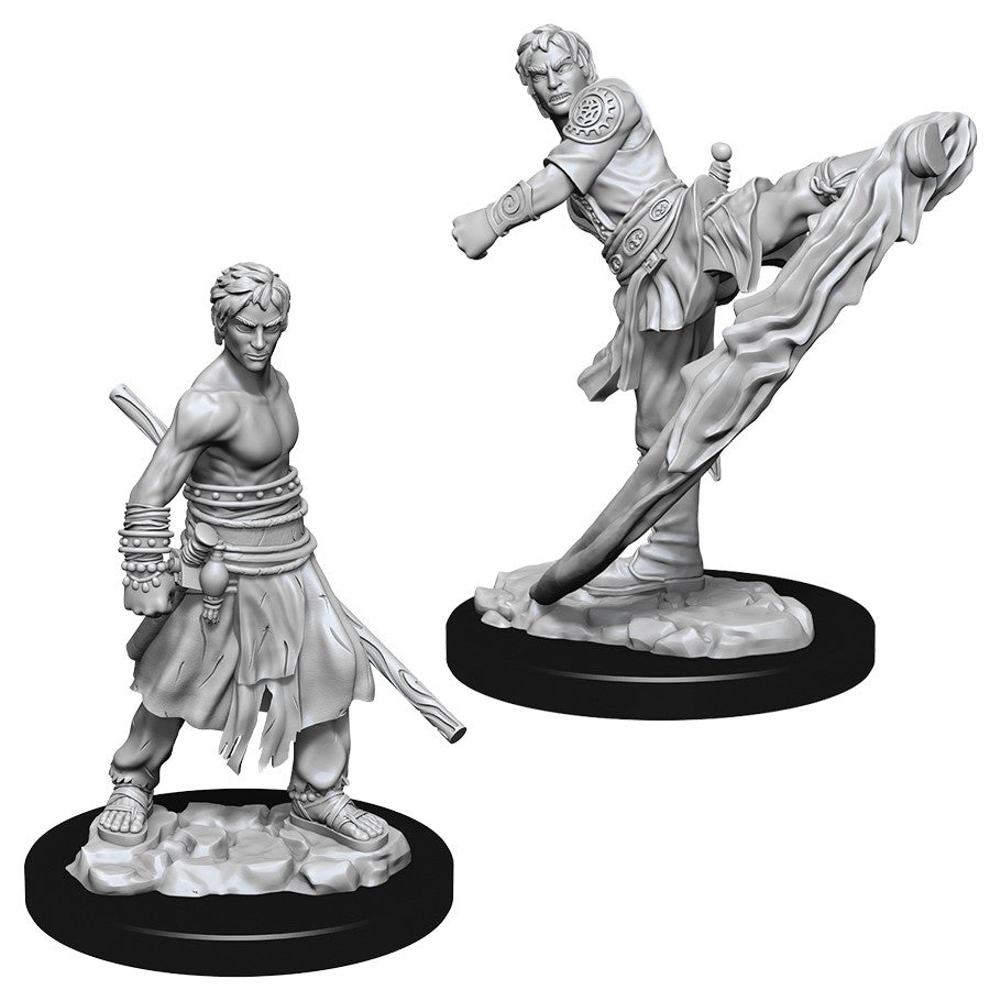 D&D Figure: Male Half-Elf Monk