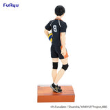 Haikyu!! Tobio Kageyama