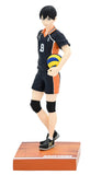 Haikyu!! Tobio Kageyama