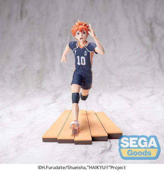Haikyu!! -HPF- Shoyo Hinata