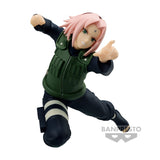 Naruto Shipp -VS- Haruno Sakura II