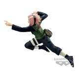 Naruto Shipp -VS- Haruno Sakura II