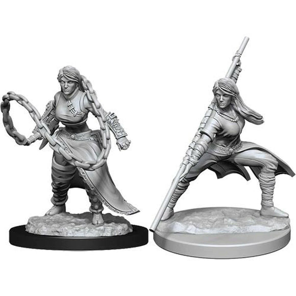 D&D Figure: Human Monk Male