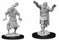 D&D Figure: Scarecrow & Stone Cursed
