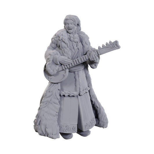 D&D Nolzur: Ansalon Human Bard