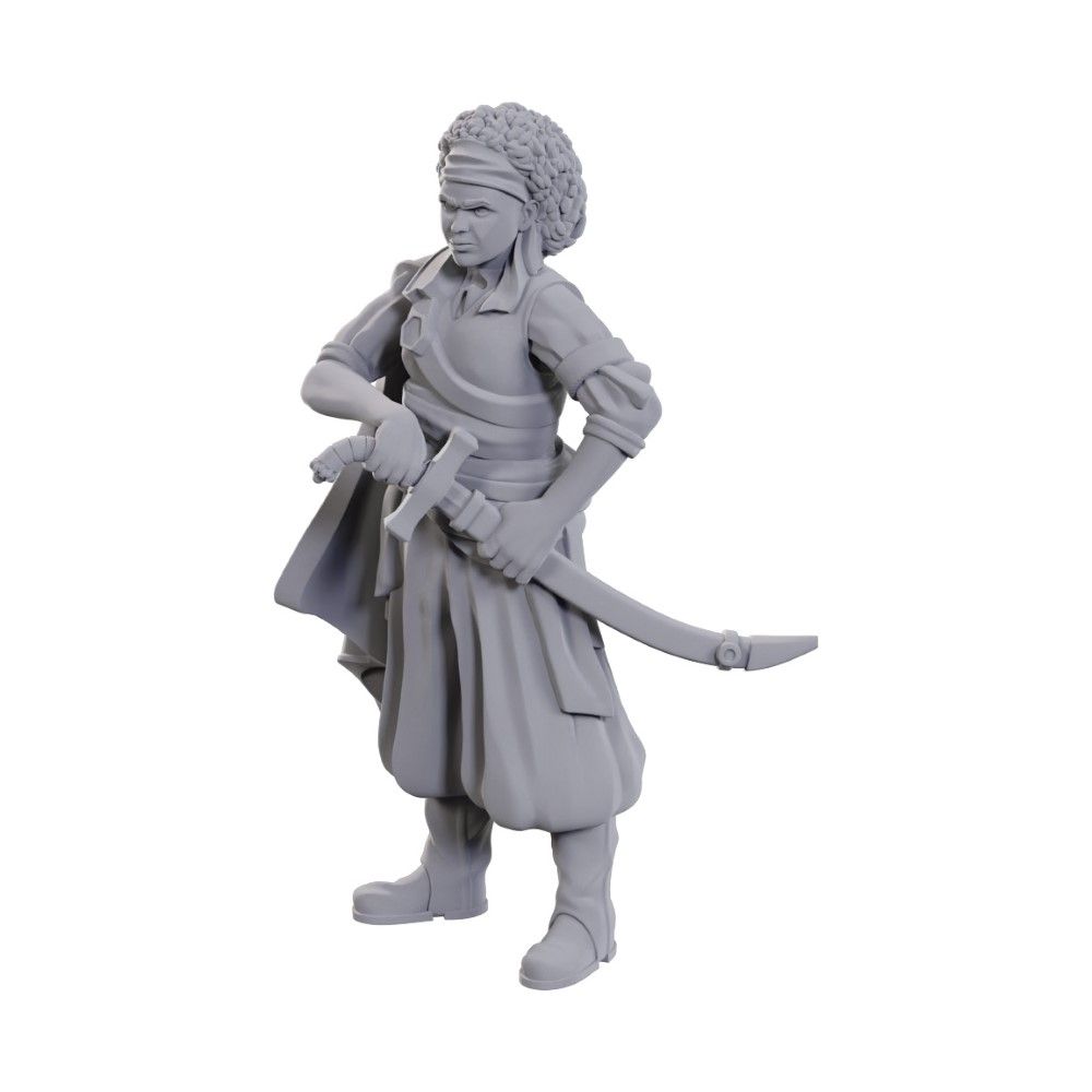 D&D Nolzur: Ansalon Human Rogue