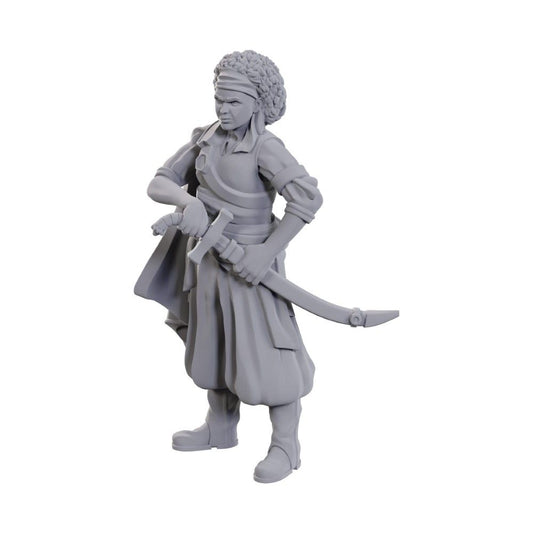D&D Nolzur: Ansalon Human Rogue
