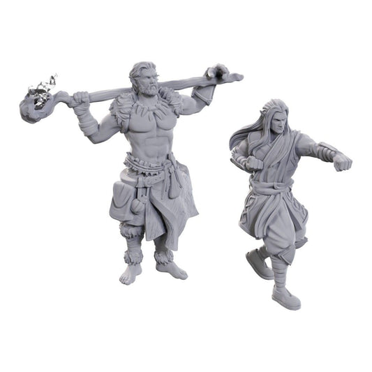D&D Figure: Archdruid & Martial Arts Ade
