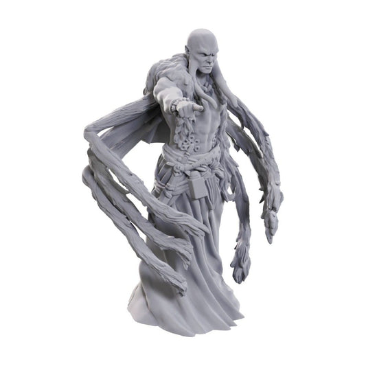 D&D Figure: Kraken Priest