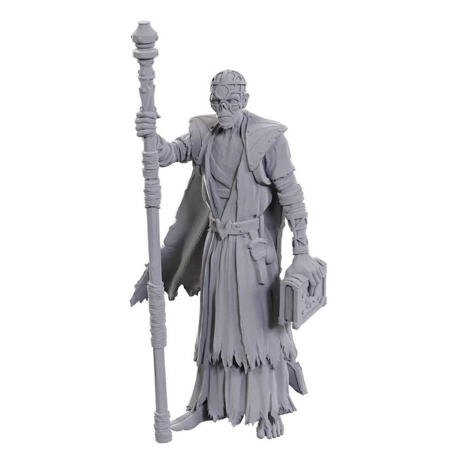 D&D Figure: Baldurs Gate - Volo/Withers