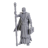 D&D Figure: Baldurs Gate - Volo/Withers