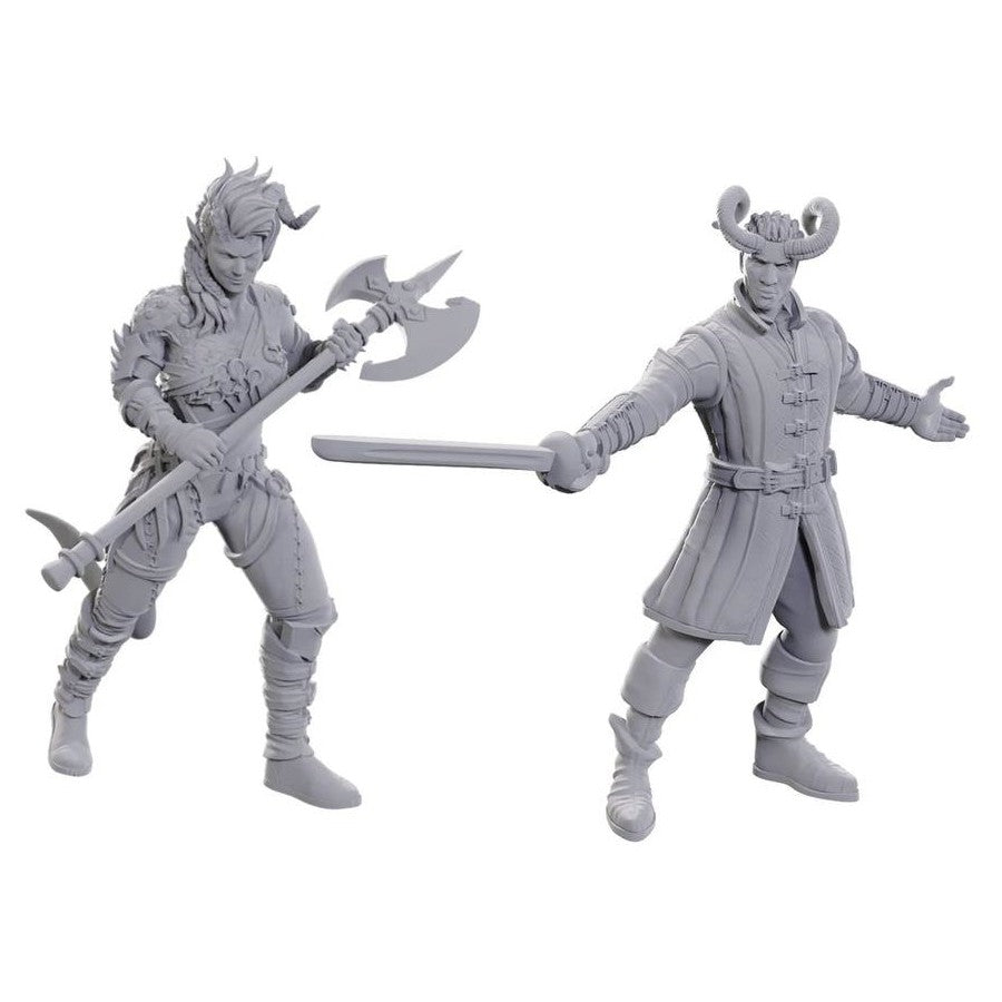 D&D Figure: Baldurs Gate - Wyll/Karlach