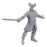 D&D Figure: Baldurs Gate - Wyll/Karlach