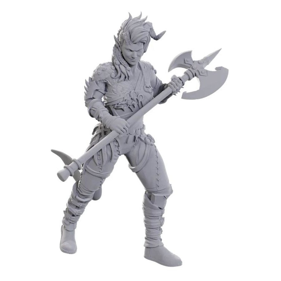 D&D Figure: Baldurs Gate - Wyll/Karlach