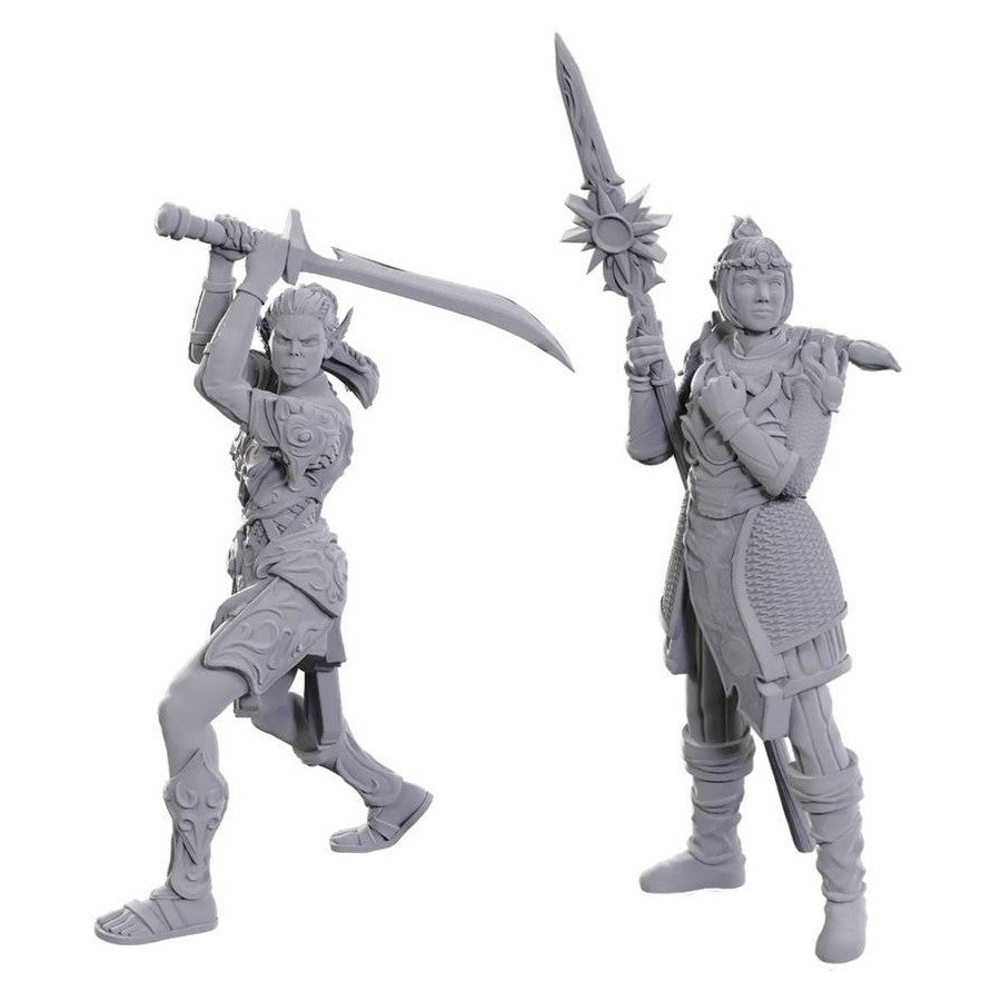 D&D Figure: Baldurs Gate - Lae'zel/Shado