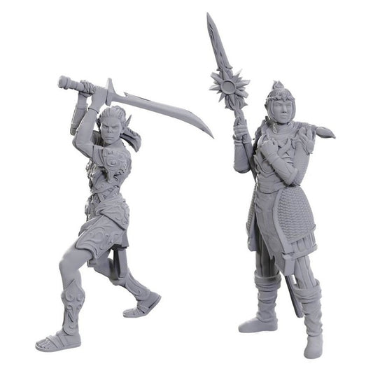 D&D Figure: Baldurs Gate - Lae'zel/Shado