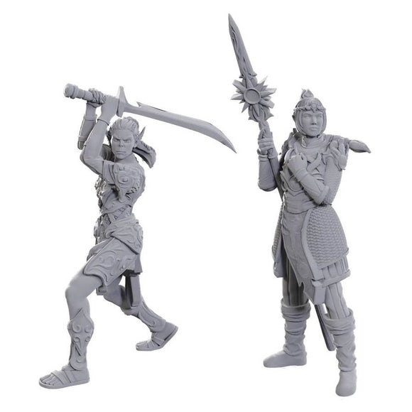 D&D Figure: Baldurs Gate - Lae'zel/Shado
