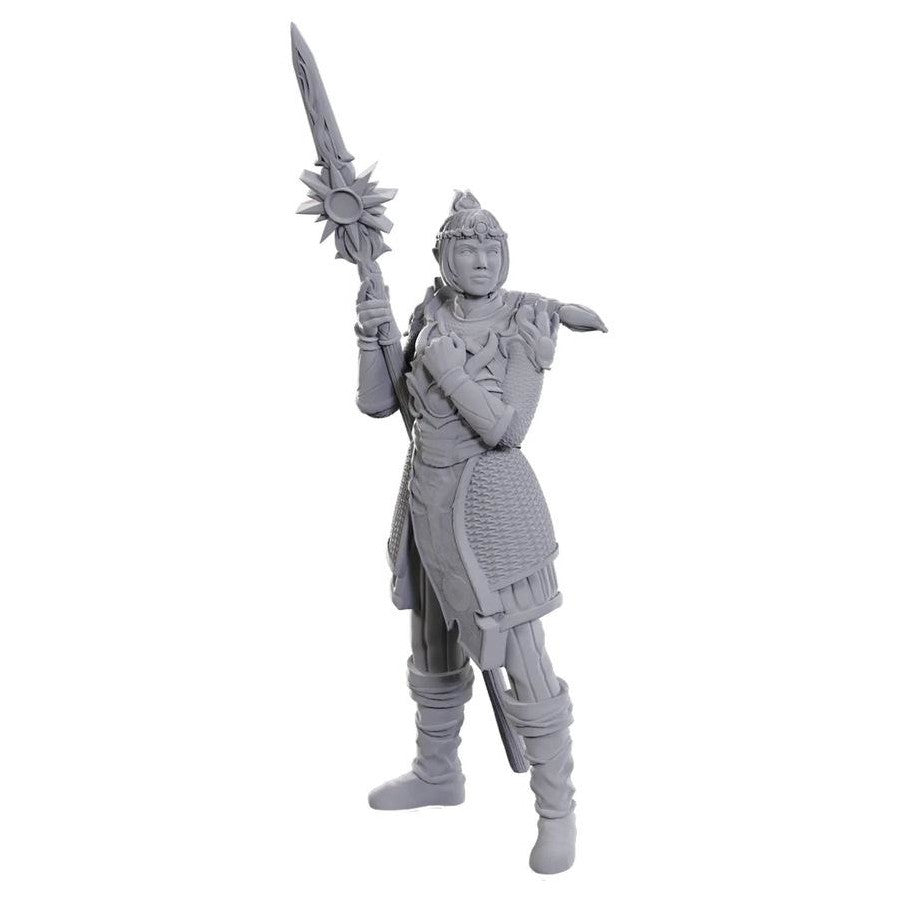 D&D Figure: Baldurs Gate - Lae'zel/Shado