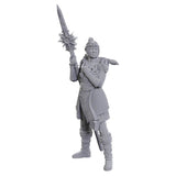 D&D Figure: Baldurs Gate - Lae'zel/Shado