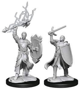 D&D Figure: Half-Elf Paladin Male