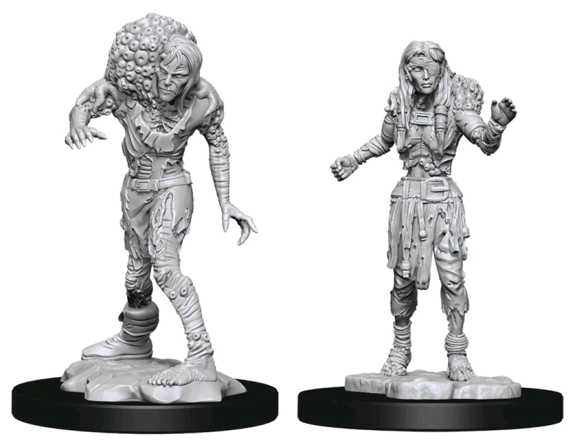 D&D Figure: Drowned Assassin & Asetic