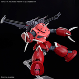 HG Gundam - Z'Gok Seed Freedom Ver