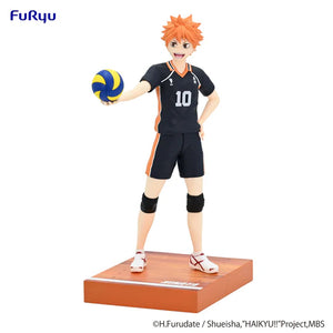 Haikyu!! Shoyo Hinata