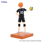 Haikyu!! Shoyo Hinata