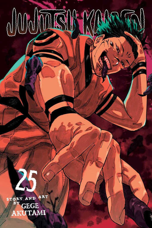 Jujutsu Kaisen, Vol 25