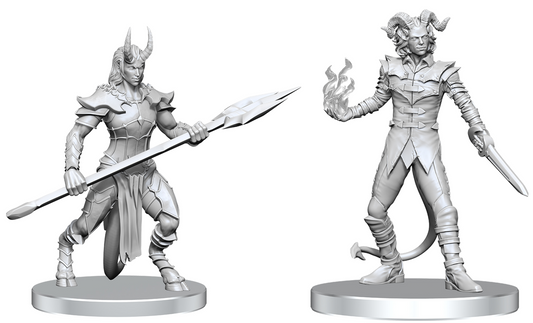 Pathfinder Figure: Vordine/Pitborn Rogue