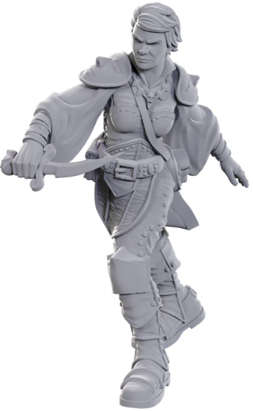 D&D Figure: Swashbuckler