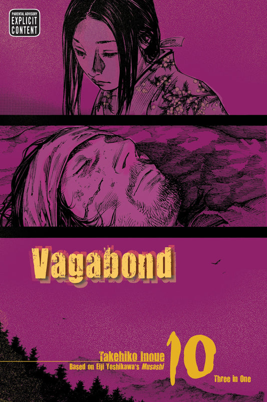 Vagabond VIZBIG Ed, Vol 10
